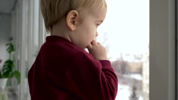 Niño Pequeño Para Mira Por Ventana Toca Vidrio Mojado Ciudad — Vídeo de stock