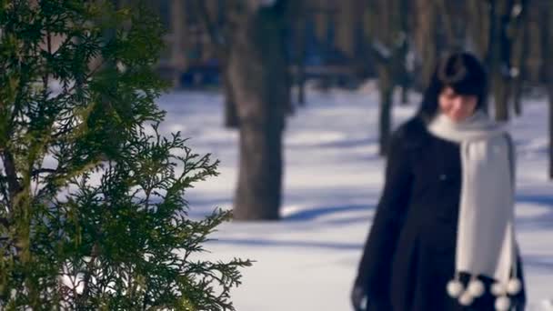 美丽的黑发女性走在雪覆盖公园微笑 冬季城市生活背景 慢动作 Fps 实时速度 Fps — 图库视频影像