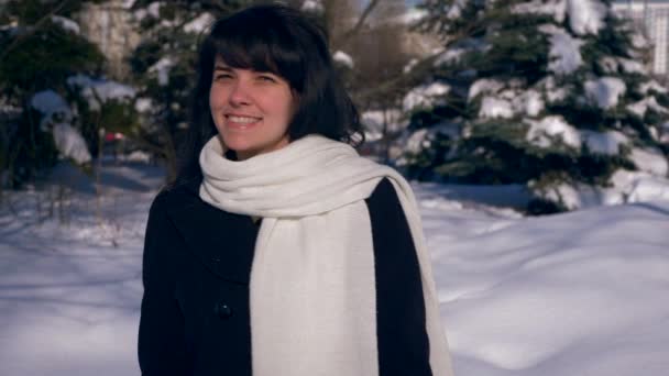 美丽的黑发女性走在雪覆盖公园微笑 冬季城市生活背景 慢动作 Fps 实时速度 Fps — 图库视频影像