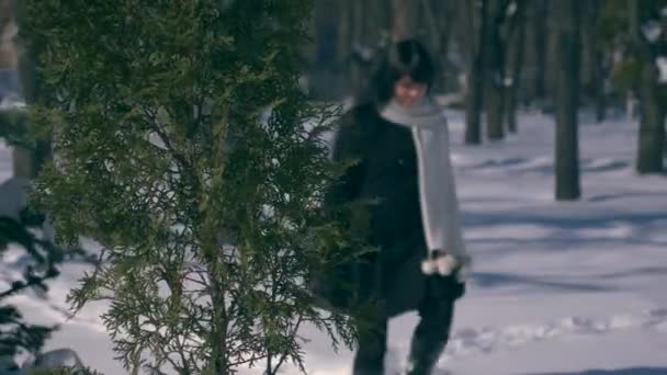 60P 在公园雪中漫步的年轻漂亮女子 新年圣诞节的寒假 城市阳光明媚的冬日 — 图库视频影像