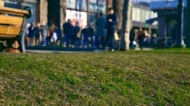 Word satışa vitrin. Bahar yeni yeşil çimenlerin üzerinde kentsel yeşil alan. Şehir sokakta yürüyen kalabalık insanlar