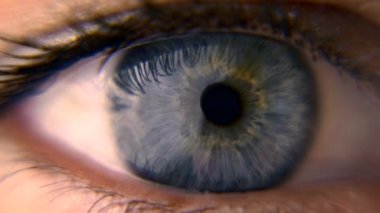 Yakın çekim. Makro mavi dişi insan gözü. Öğrenci kornea Iris gözün kirpik. Yanıp sönme açık kapalı. 30p ağır çekim 1/2 gerçek zamanlı hız 60p