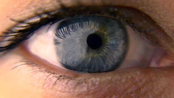 Primer Plano Macro Blue Female Human Eye Pestañas Para Los — Vídeo de stock