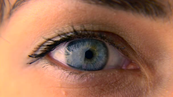 Close Macro Blue Vrouwelijke Menselijk Oog Leerling Hoornvlies Iris Eyeball — Stockvideo