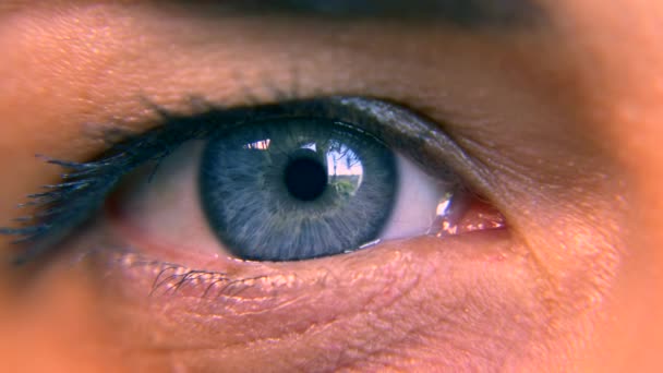 Close Macro Blue Vrouwelijke Menselijk Oog Leerling Hoornvlies Iris Eyeball — Stockvideo