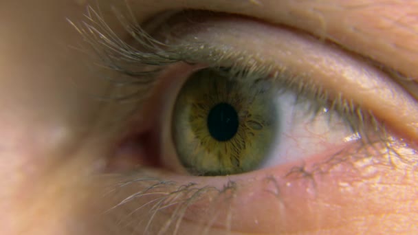 Gros Plan Homme Œil Humain Macro Pupil Cornea Iris Eyeball — Video