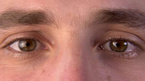 Szczelnie Góry Mężczyzna Ludzkie Oko Makro Źrenicy Rogówki Ocznej Iris — Wideo stockowe