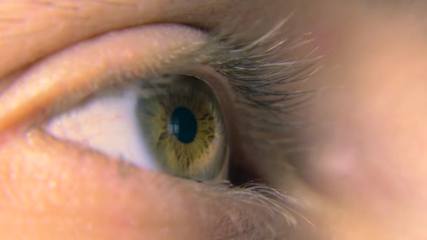 Nahaufnahme männlichen menschlichen Auges. Makro-Pupille Hornhaut-Iris-Wimpernkapillaren. Blinzeln offen geschlossen