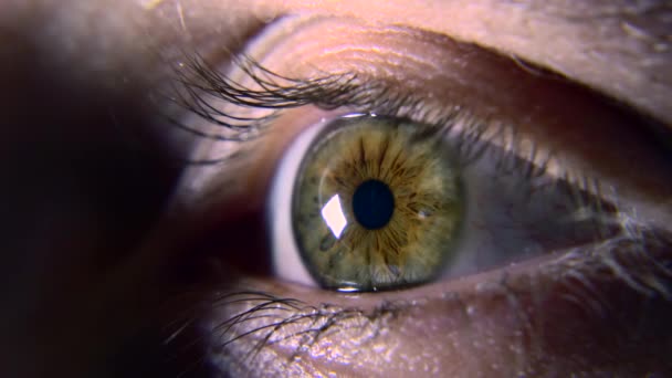 Olho Humano Masculino Close Macro Pupila Córnea Íris Eyeball Cílios — Vídeo de Stock
