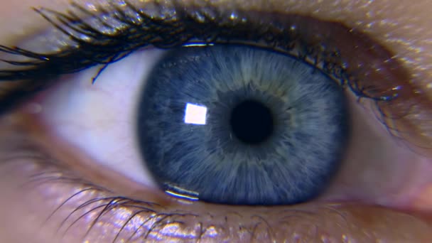 Close Macro Blue Female Human Eye Pupil Cornea Iris Eyeball — Stock Video