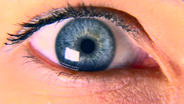 클로즈업입니다 매크로 인간의 눈동자 아이리스 속눈썹 슬로우 실시간 — 비디오