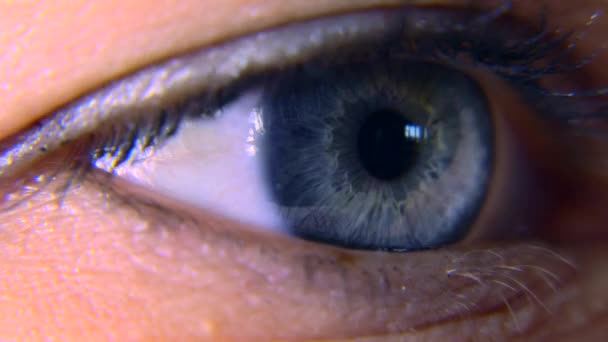 Nahaufnahme Makroblaues Weibliches Menschliches Auge Pupille Hornhaut Iris Wimpern Blinzeln — Stockvideo