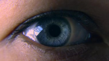 Yakın çekim. Makro mavi dişi insan gözü. Öğrenci kornea Iris gözün kirpik. Yanıp sönme açık kapalı. 30p ağır çekim 1/2 gerçek zamanlı hız 60p