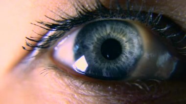 Yakın çekim. Makro mavi dişi insan gözü. Öğrenci kornea Iris gözün kirpik. Yanıp sönme açık kapalı. 30p ağır çekim 1/2 gerçek zamanlı hız 60p