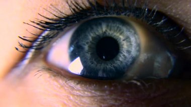 Yakın çekim. Makro mavi dişi insan gözü. Öğrenci kornea Iris gözün kirpik. Yanıp sönme açık kapalı. 30p ağır çekim 1/2 gerçek zamanlı hız 60p