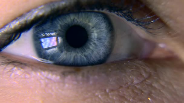 Szczelnie Góry Makro Niebieski Kobiece Oko Ludzkie Źrenicy Rogówki Ocznej — Wideo stockowe