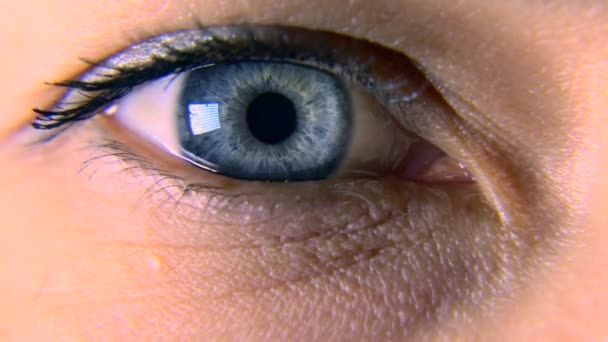 Γκρο Πλαν Μακροεντολή Μπλε Θηλυκό Ανθρώπινο Μάτι Μαθητής Κερατοειδή Iris — Αρχείο Βίντεο