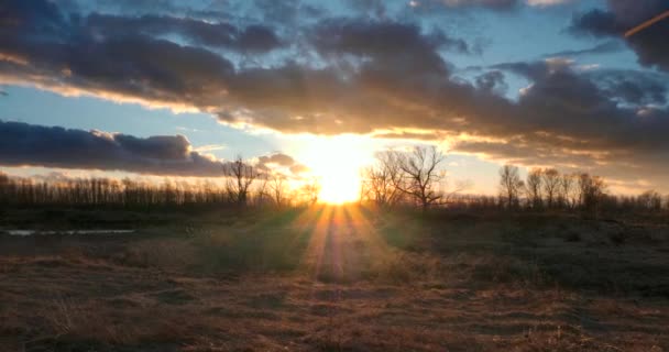 Zonsondergang Zonnestralen Zonnevlammen Schijnen Door Bomen Dramatische Cloudscape Boven Grove — Stockvideo