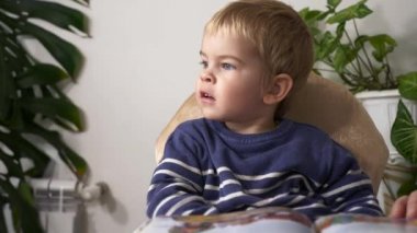 Büyük büyükannem torununun torunuyla kitap okuyor. Aktif Yaşlı Kadın, Küçük Çocuk 'la Bebek Bakıcılığı Evde Gündüz Vaktinde Bir Kitabın Sayfalarında Resimlerini Gösteriyor. Yavaş çekim 0. 5 hız 60 fps