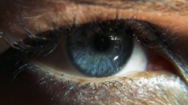 5K yakın çekim. Makro Kadın Mavi Göz. Gözbebeği Kornea Iris Kirpikleri