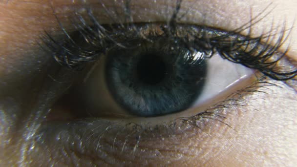 Close Macro Vrouwelijk Menselijk Blauw Oog Pupil Cornea Iris Eyeball — Stockvideo