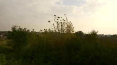 Tren vagonunun manzarası pencereyi açtı. Avrupa 'yı boydan boya geçen bir tren yolculuğu. Trees Fields Village Akşam Manzarası. Yaz Sonbahar Sezonu,