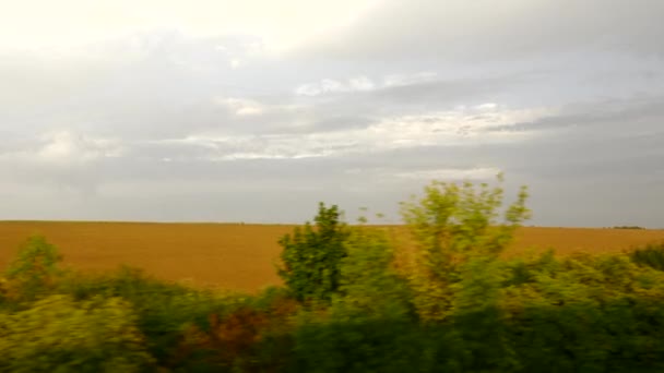 電車の中からの眺めワゴンが窓を開けた ヨーロッパ中を鉄道で旅する 木々のフィールド村の夜の風景 夏秋の季節 — ストック動画