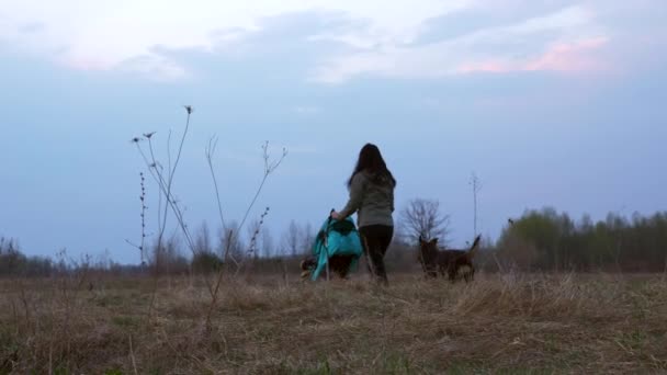 母亲带着儿子漫步在靠近森林的田野里 沿着乡村小路走着 狗在附近跑 晨曦在乡间远足 春天时间晚上2 X慢动作0 5速度60 Fps — 图库视频影像