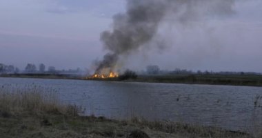 WF6 Wildfire Nehir kenarındaki tarlada yanıyor. Kuru Çimen Ovası 'nda yangın. Sabah Akşam Manzarası. Kış Mevsimi Kırsal Arazi