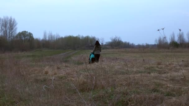 Moeder Wandelen Met Zoon Wandelwagen Het Veld Buurt Van Bos — Stockvideo