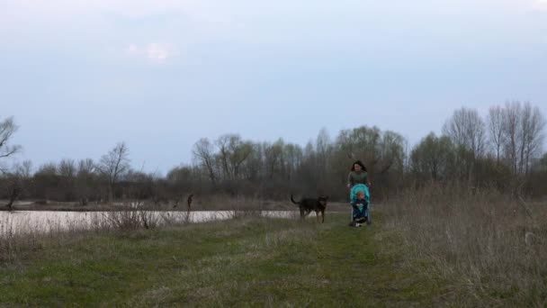 Mutter Spaziert Mit Sohn Kinderwagen Waldstück Entlang Der Landstraße Hund — Stockvideo