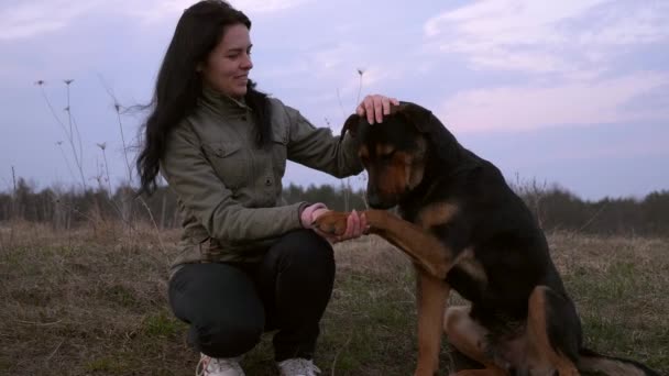 賢い犬は女性の手に泥を与える 田舎の田舎道をハイキングする朝の夜のフィールドでホームレスの犬をペット若い女性 春時間2倍スローモーション0 5速度60 Fps — ストック動画