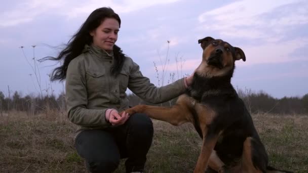 田舎の田舎道をハイキングする朝の夜のフィールドでホームレスの犬をペット若い女性 春時間2倍スローモーション0 5速度60 Fps — ストック動画