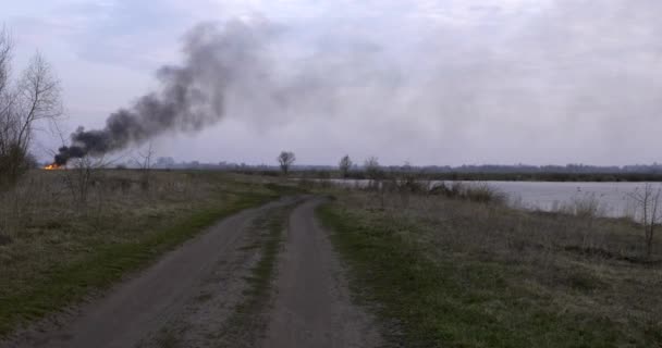 Wf6 Waldbrand Auf Dem Feld Flussnähe Feuer Auf Trockenen Grasflächen — Stockvideo