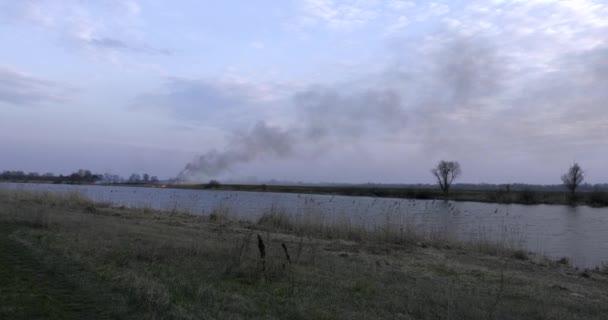 Wf6 Wildfire Burning Field Blisko Rzeki Ogień Suchych Trawach Poranny — Wideo stockowe