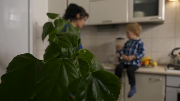 忙着为儿子准备速食早餐的年轻妈妈 小孩坐在厨房台面上 晨光透过窗户照进来 2X慢动作 5速度60 Fps — 图库视频影像