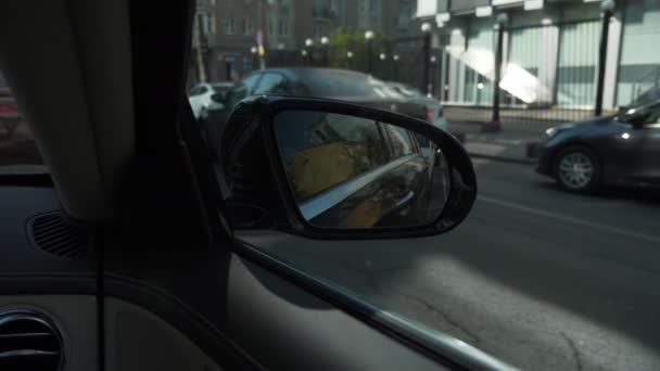 Primer Plano Espejo Retrovisor Reflejo Coche Moviéndose Detrás Siguiendo Autopista — Vídeo de stock