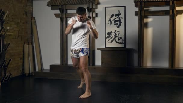 Martial Arts Fighter Performing Kicks Punches Workout Atingiu Ferozmente Sopros — Vídeo de Stock