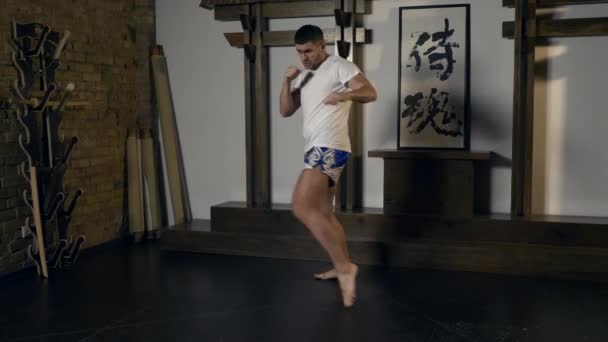 Artes Marciales Fighter Performing Kicks Punches Workout Golpe Ferozmente Golpes — Vídeo de stock