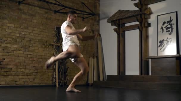 Martial Arts Fighter Performing Kicks Punches Workout Fiercely Hit Blows — Stock Video