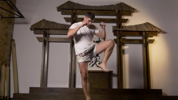 Artes Marciales Fighter Performing Kicks Punches Workout Golpe Ferozmente Golpes — Vídeos de Stock