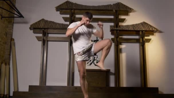 Martial Arts Fighter Performing Kicks Punches Workout Atingiu Ferozmente Sopros — Vídeo de Stock