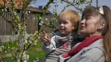 Büyükanne, Torunu Arka Bahçe Bahçesinde Doğa Ağacı Çiçeklerini Gösterirken Tutuyor. Parlak Torun Güneşli Bahar Günü 'nde Mutlu Zamanlar' ı Bebek Bakıcılığı yaparak. 2x Yavaş çekim 0.5 hız 60 fps 4K