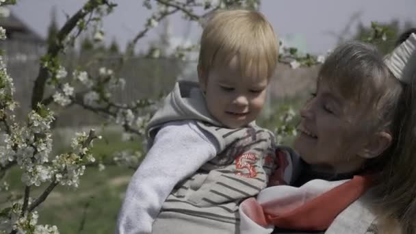 Grandmother Having Fun Grandchild While Holding Him Hands Tree Blossom — Stock Video