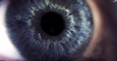 Dişi Mavi Göz. Göz bebeği Iris Retina Gözbebeği Kornea. Aşırı yakın çekim Macro çekimi. Kırp Aç Kapalı