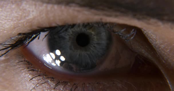 Weibliches Blaues Auge Augapfel Iris Retina Pupille Hornhaut Blink Open — Stockvideo