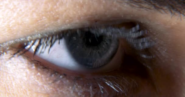 Weibliches Blaues Auge Augapfel Iris Retina Pupille Hornhaut Blink Open — Stockvideo