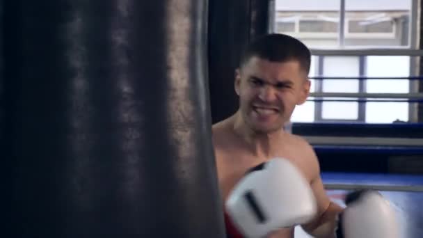 Boxer Professionista Ferocemente Colpisce Sacco Boxe Palestra Forte Uomo Muscolare — Video Stock