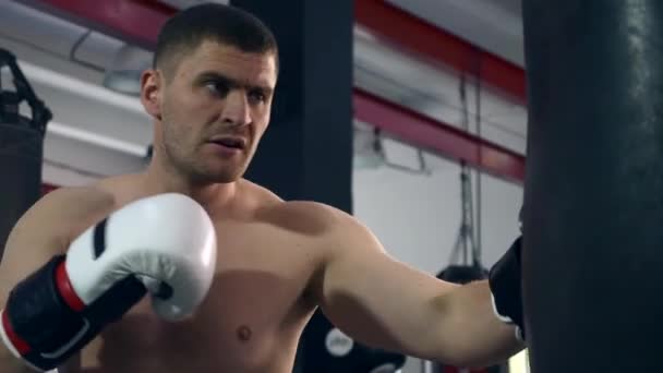 Boxeador Profesional Golpea Ferozmente Saco Boxeo Gimnasio Hombre Musculoso Fuerte — Vídeo de stock