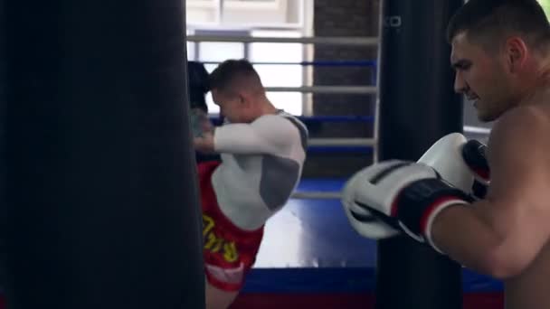 Zwei Profi Boxer Schlagen Und Treten Boxsäcke Der Nähe Des — Stockvideo